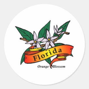 Florida Orange Blossom Classic Round Sticker
