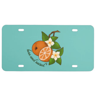 Florida Orange Born and Raised License Plate
