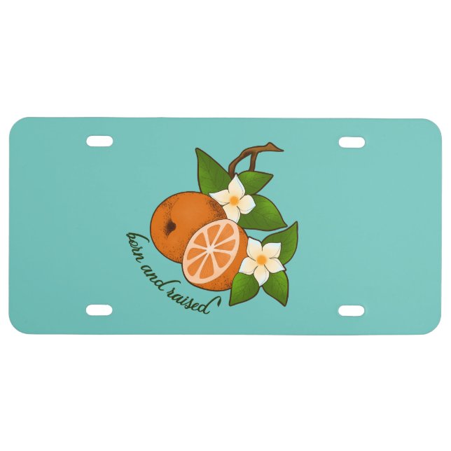 Florida Orange Born and Raised License Plate (Front)