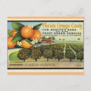 Florida Orange Candy Postcard