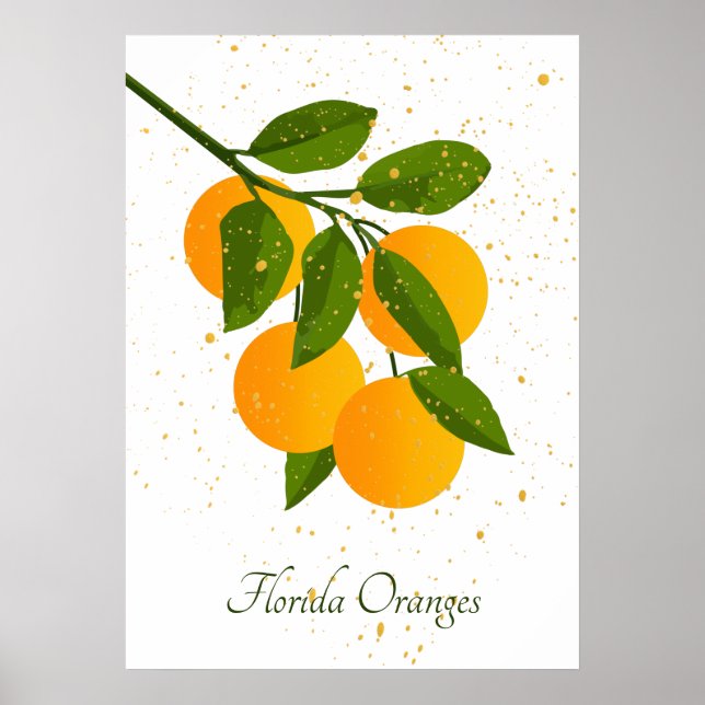 Florida Oranges Abstract Citrus Fruit Art Poster (Front)