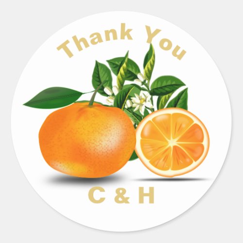 Florida Oranges  Blossom Personalized Classic Round Sticker