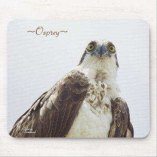 Florida Osprey Mousepad
