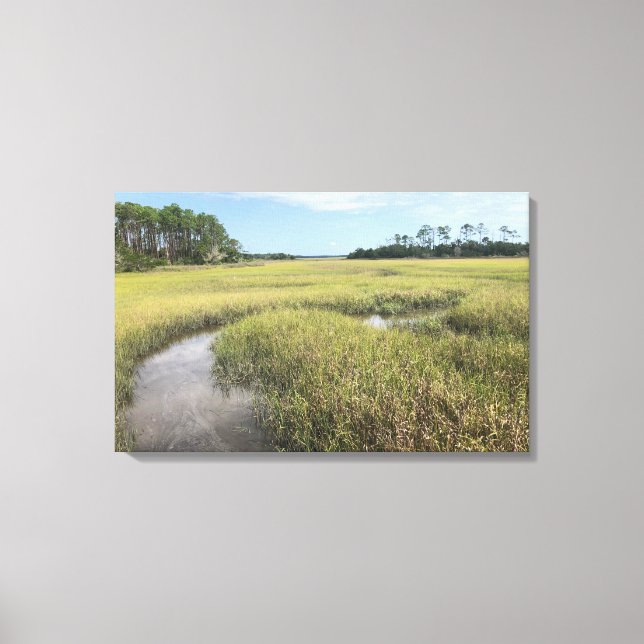 Florida Palencia Photograph Canvas (Front)