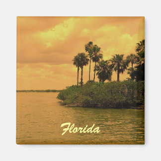 Florida Palm Tree Reverie Magnet