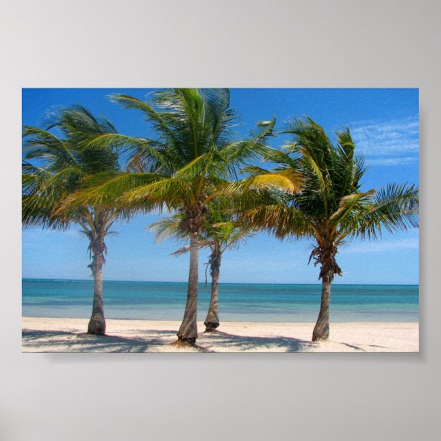 Florida palm trees print (Front)