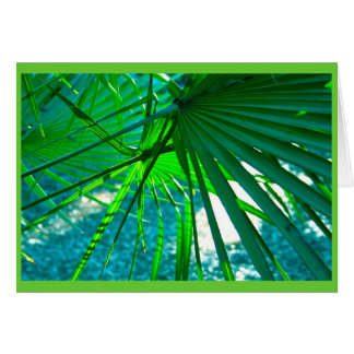 Florida Palms Cards
