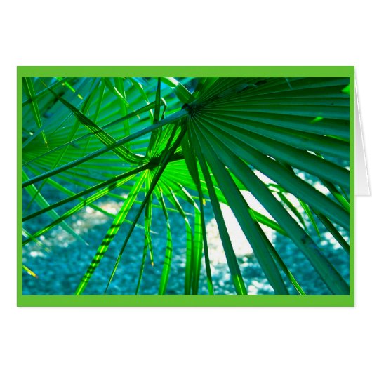 Florida Palms Cards (Front Horizontal)