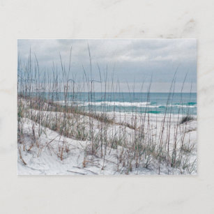 Florida Panhandle beach Postcard
