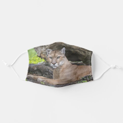 Florida Panther Adult Cloth Face Mask