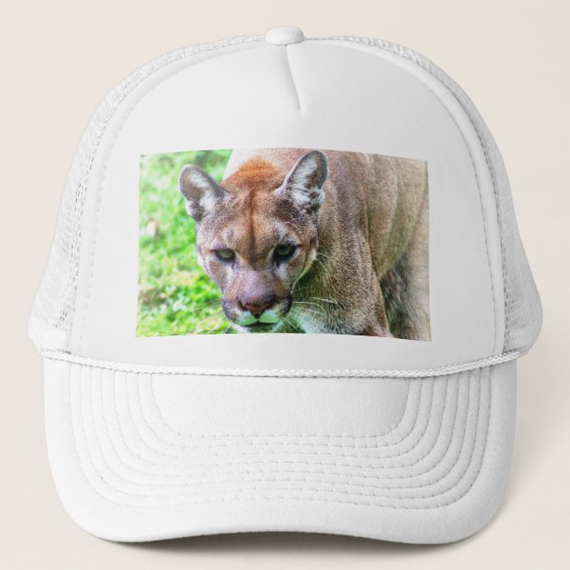 FLORIDA PANTHER BASEBALL CAP OR HAT (Front)