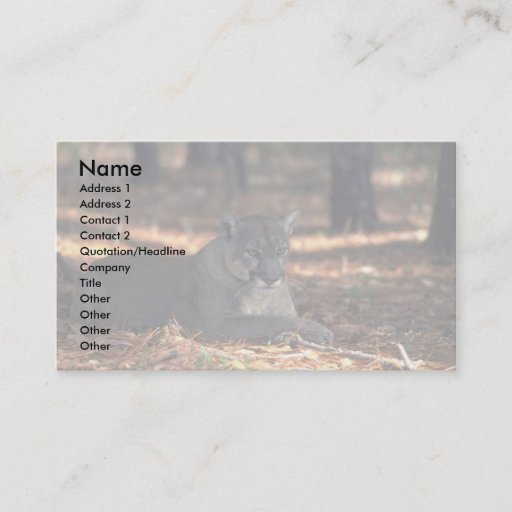 Customizable Florida """"Panther"""" (Cougar) lying down Business Card