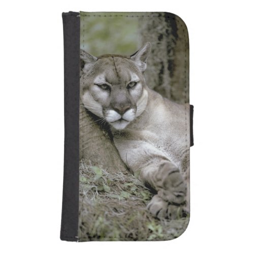 Florida panther Felis concolor coryi Galaxy S4 Wallet Case