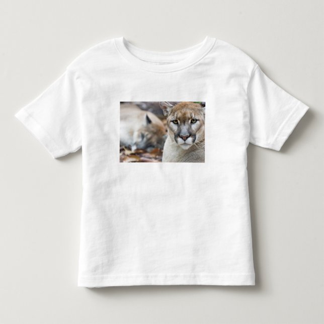 Florida Panther Toddler T-shirt (Front)