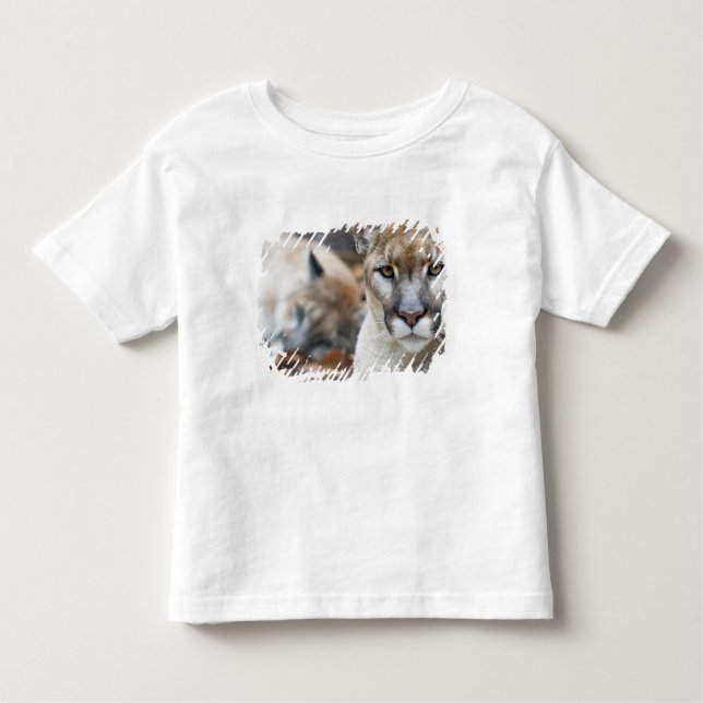 Florida Panther Toddler T-shirt (Front)