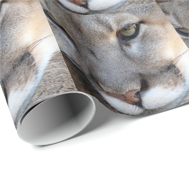 Florida Panther Wrapping Paper (4071) (Roll Corner)