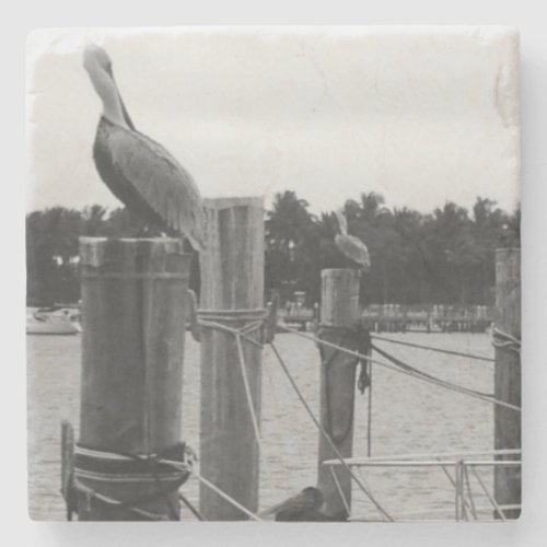 Florida Pelican On Boat Dock Coaster