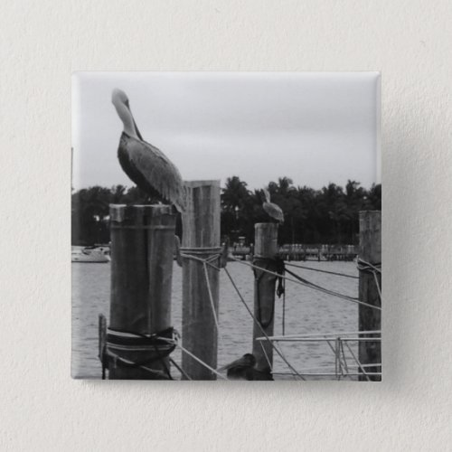 Florida Pelican on Boat Dock photo pin