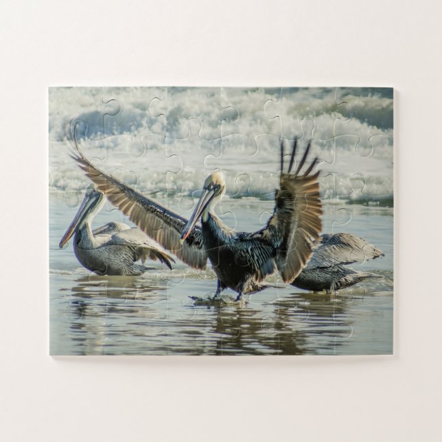 Florida Pelicans Birds Nature Beach Oversized Jigsaw Puzzle (Horizontal)