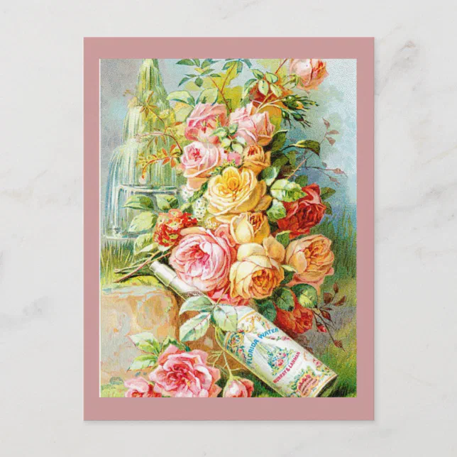 Florida Perfume Water with Cabbage Roses Postcard | Zazzle