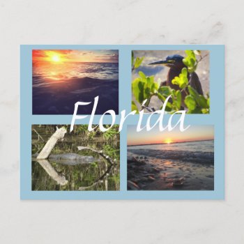 Florida Photography Postcard by PhotosfromFlorida at Zazzle
