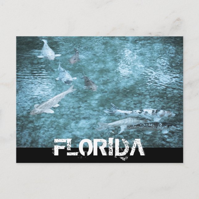 FLORIDA POSTCARD (Front)