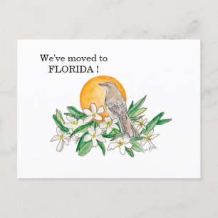 Florida Postcard