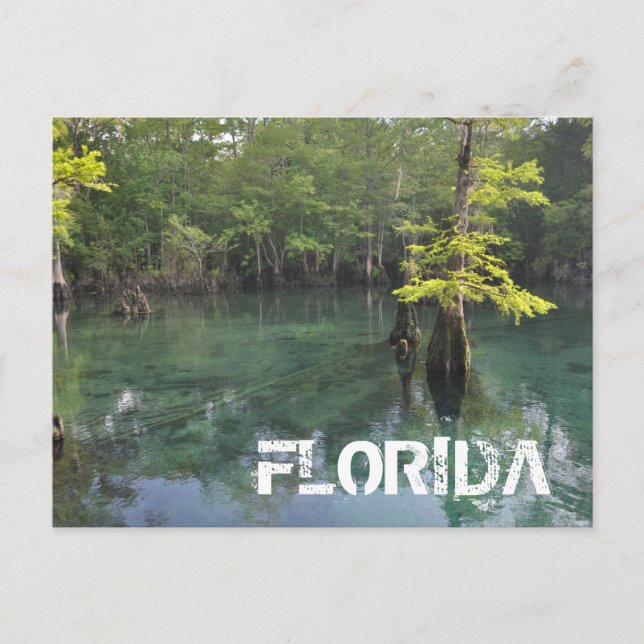 FLORIDA POSTCARD (Front)