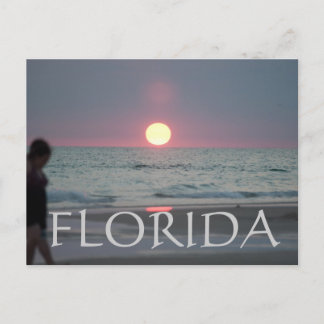 FLORIDA POSTCARD