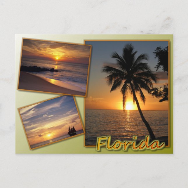 Florida Postcard (Front)