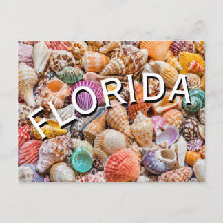 Florida  postcard
