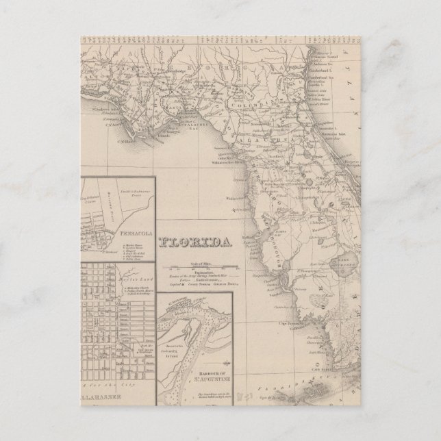 Florida Postcard (Front)