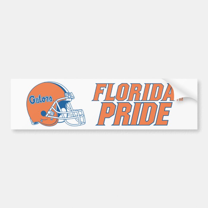 Florida Pride   Orange & Blue Bumper Stickers