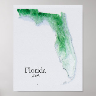 Florida Relief Map Green Texture  Poster