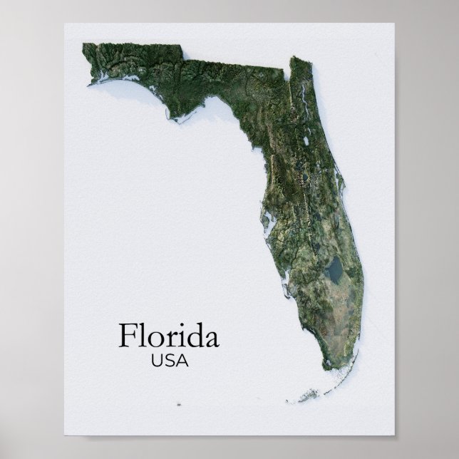 Florida Relief Map Nature Texture Poster (Front)