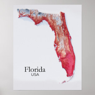Florida Relief Map Red Texture Poster