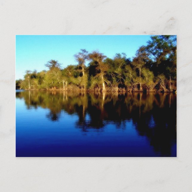 Florida River Postcard (Front)