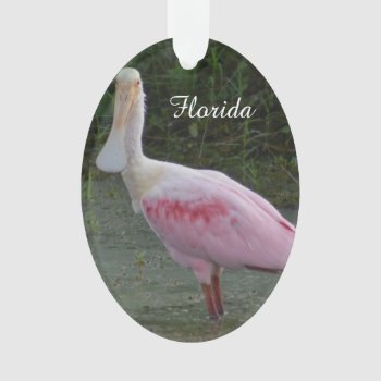 Florida Roseate Spoonbill Christmas Ornament by PhotosfromFlorida at Zazzle