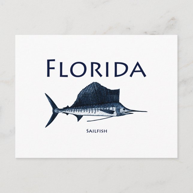 Florida Sailfish Postcard (Front)