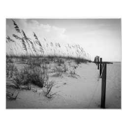 Florida Sand Dunes Photo Print