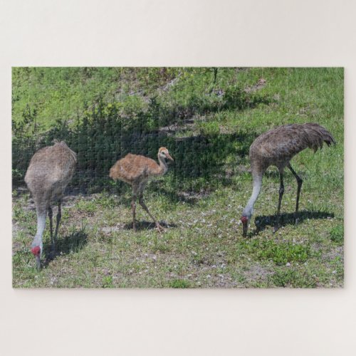 Florida Sandhill Cranes Family Photograph Jigsaw Puzzle