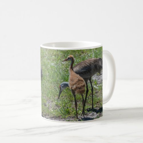 Florida Sandhill Cranes Nature Photograph Coffee Mug