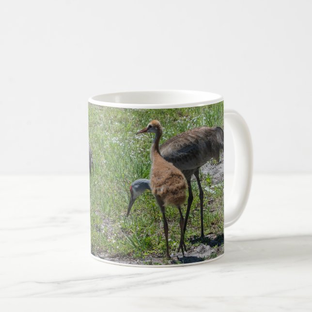 Florida Sandhill Cranes Nature Photograph Coffee Mug (Front Right)