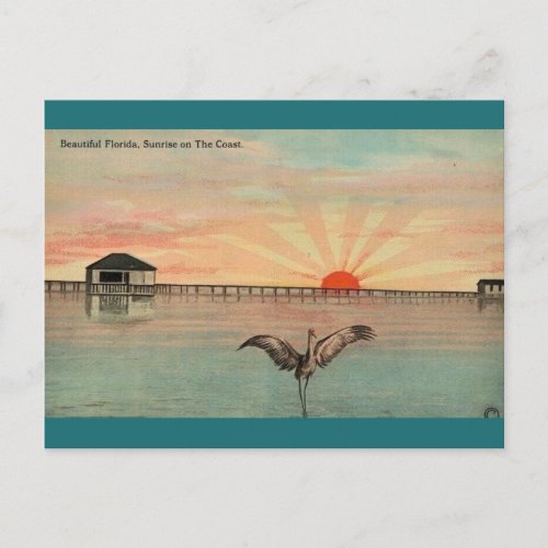 Florida Sandhill Sunrise Postcard