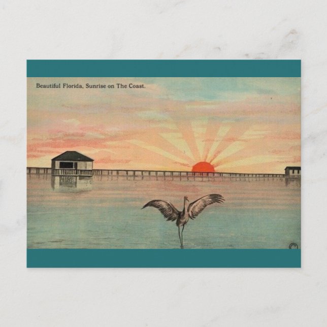 Florida Sandhill Sunrise Postcard (Front)