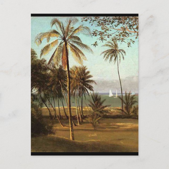 Florida Scene - Albert Bierstadt Postcard (Front)