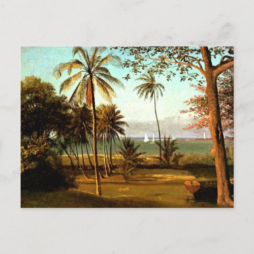 Florida Scene by Albert Bierstadt Postcard