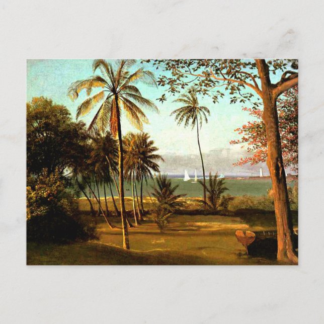 Florida Scene by Albert Bierstadt Postcard (Front)