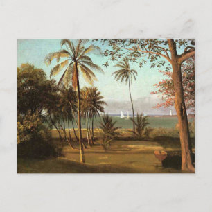 Florida Scene, fine art painting, Postcard