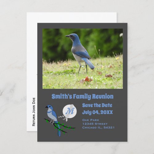 Florida Scrub Jay Family Reunion Monogram Photo Invitation Postcard